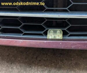 ako predísť zrážke so zverou